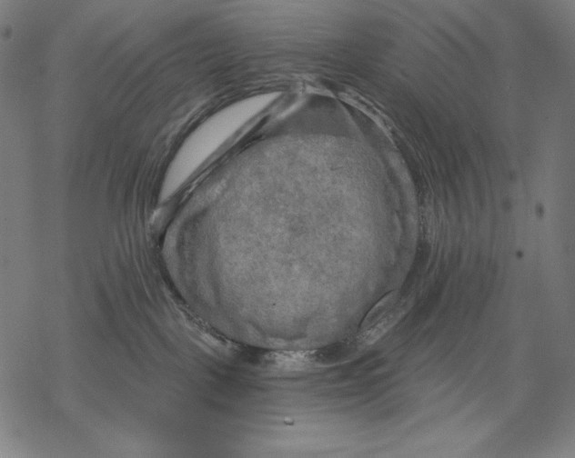 X0000068750093200605191609