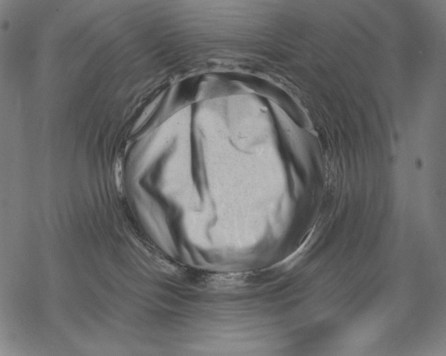 X0000068750094200605191609