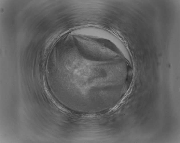 X0000068750097200605191608