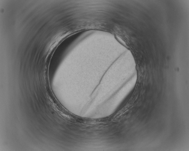 X0000068750098200605191608