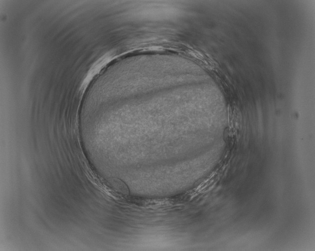 X0000068750099200605191608