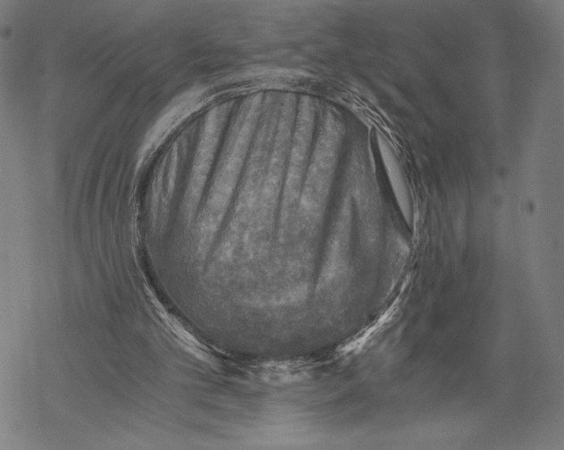 X0000068750101200605191608