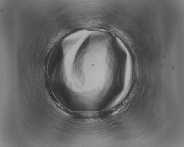 X0000068750105200605191608