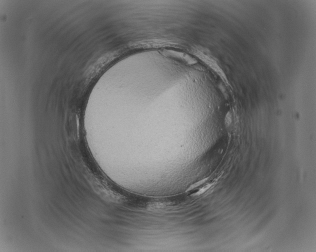X0000068750109200605191608