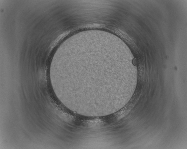 X0000068750112200605191608