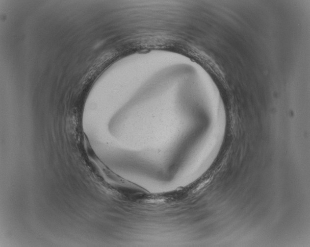 X0000068750113200605191608
