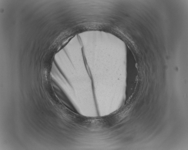 X0000068750117200605191608