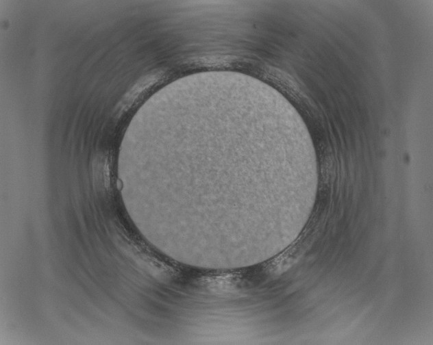 X0000068750120200605191608