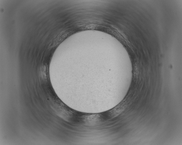 X0000068750122200605191608
