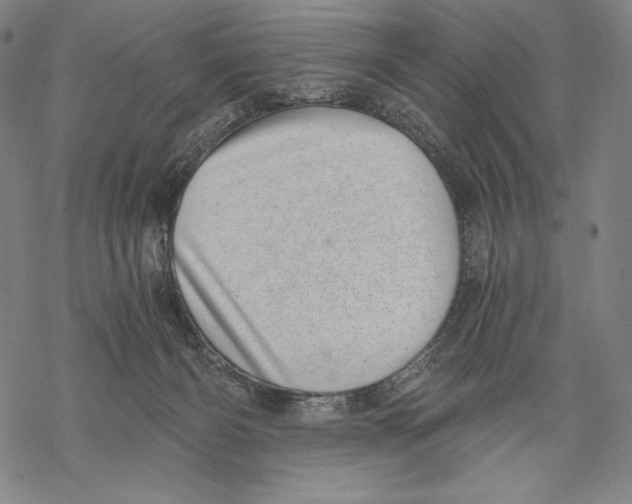 X0000068750126200605191608