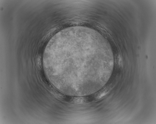 X0000068750127200605191608