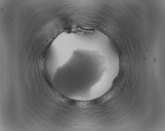 X0000068750139200605191608