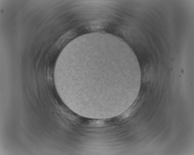 X0000068750140200605191608