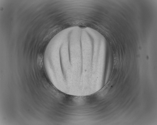 X0000068750142200605191608