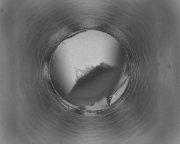 X0000068750143200605191608