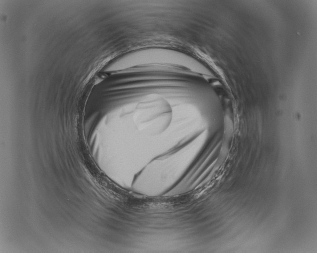 X0000068750154200605191607