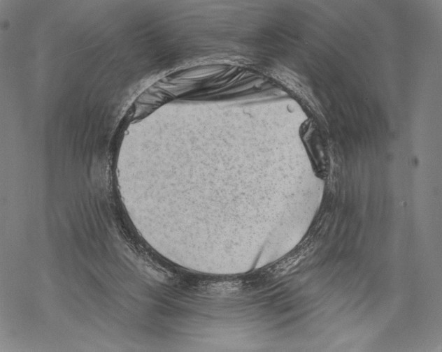 X0000068750156200605191607