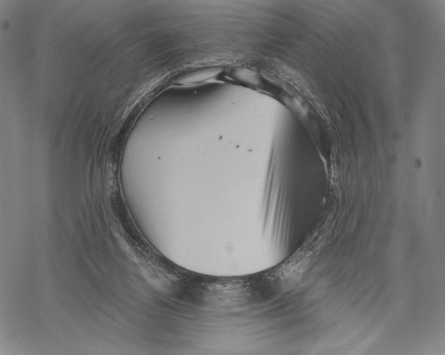 X0000068750164200605191607