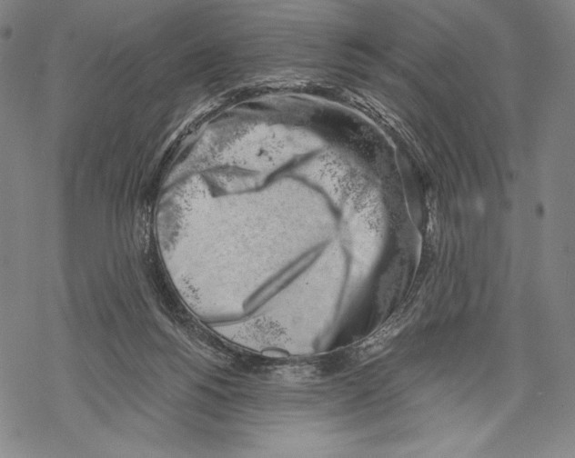 X0000068750168200605191607