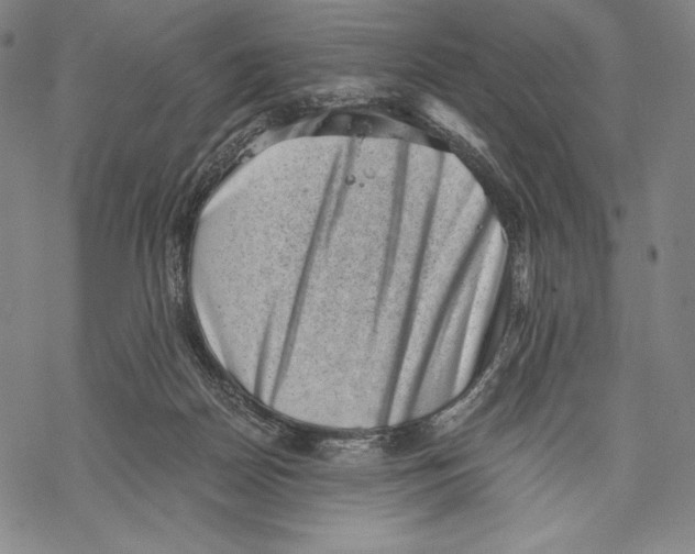 X0000068750170200605191607
