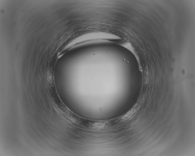 X0000068750176200605191607