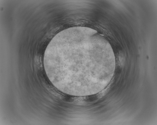 X0000068750182200605191607