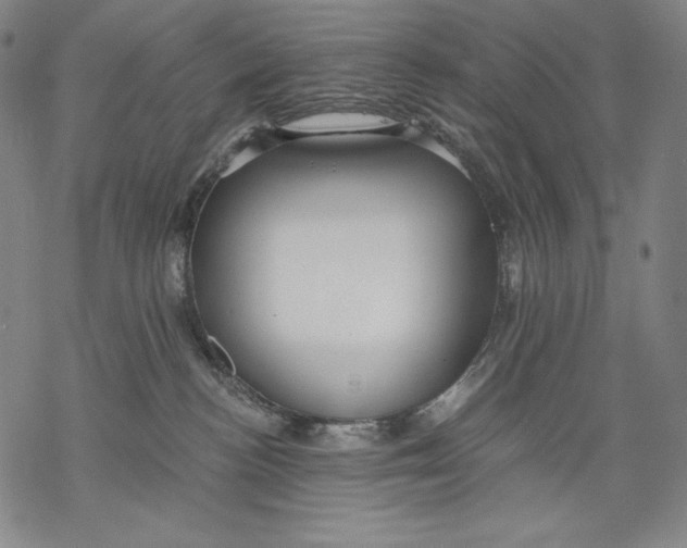 X0000068750188200605191608