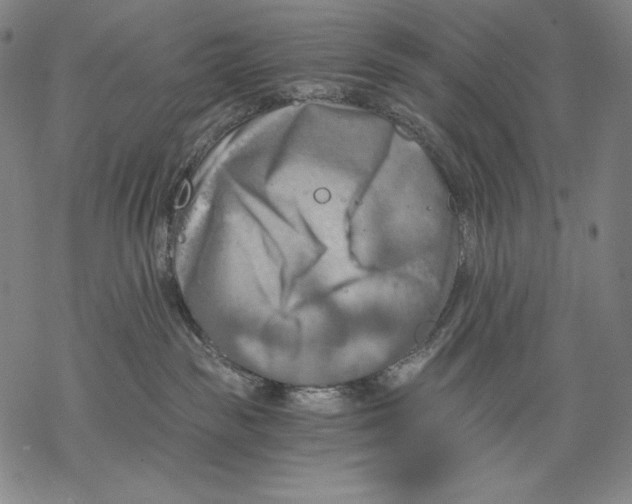 X0000068750189200605191608