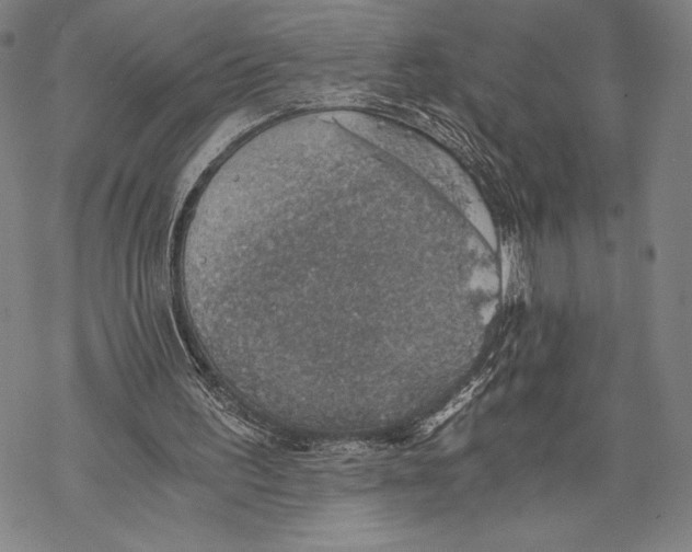 X0000068750195200605191607