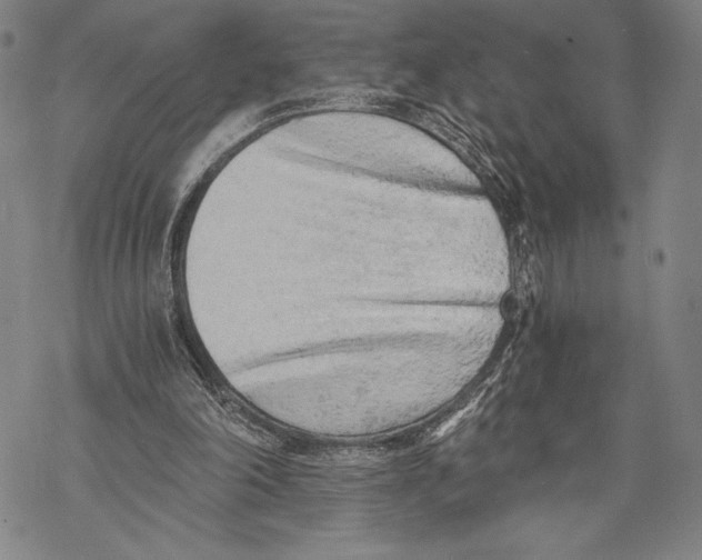 X0000068750198200605191607