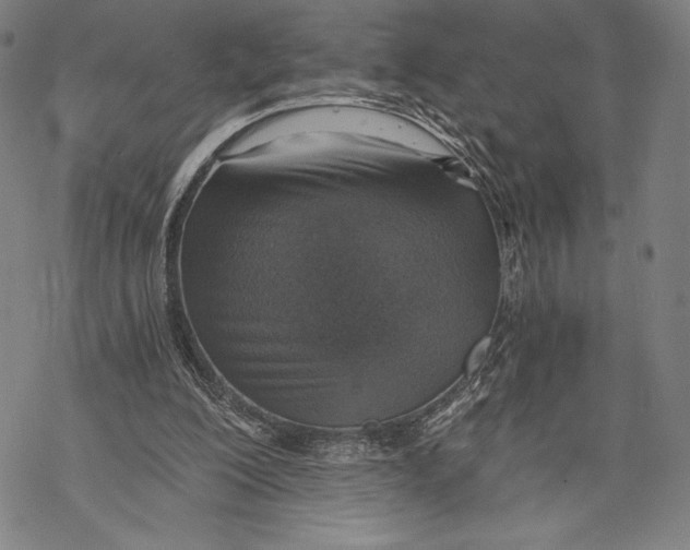 X0000068750200200605191607