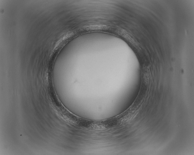 X0000068750207200605191607