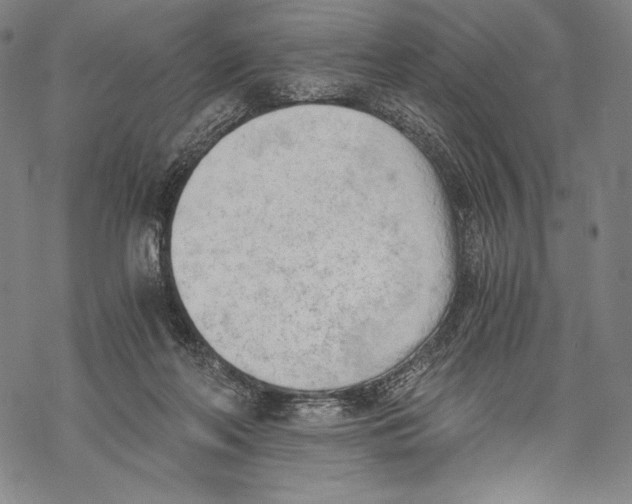 X0000068750214200605191606