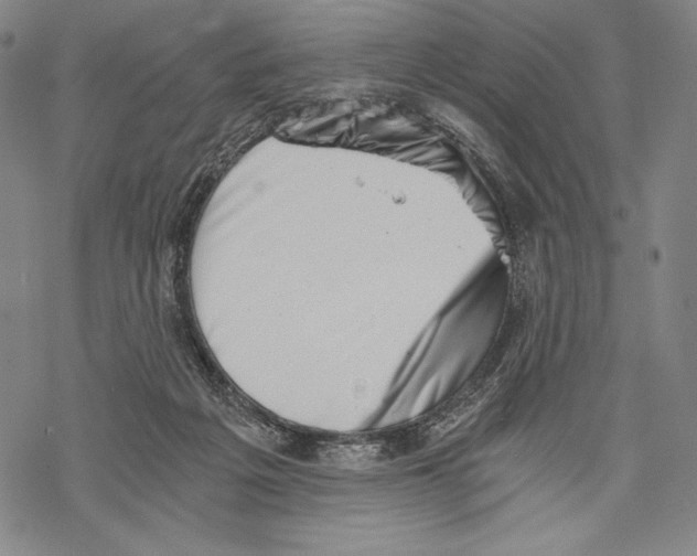 X0000068750217200605191606
