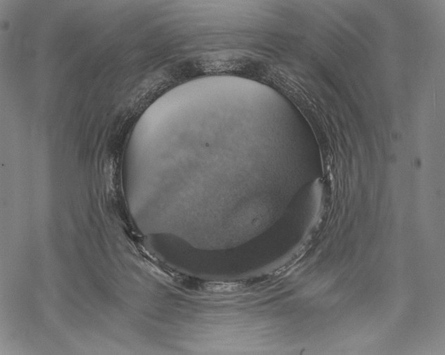 X0000068750219200605191606