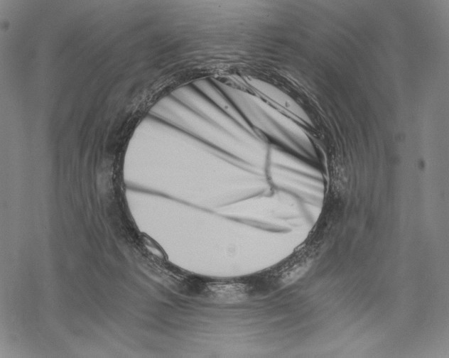 X0000068750221200605191606