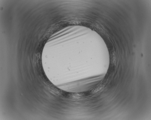 X0000068750229200605191606