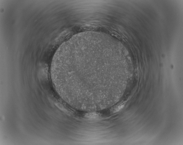 X0000068750231200605191606