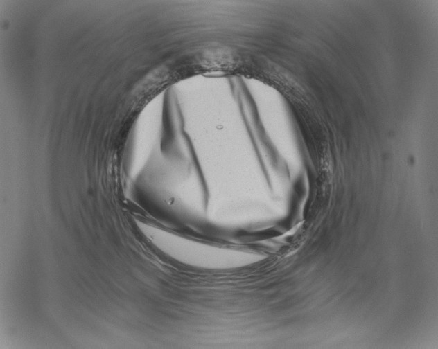 X0000068750233200605191606