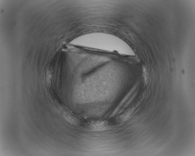X0000068750235200605191606