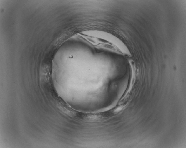 X0000068750237200605191606