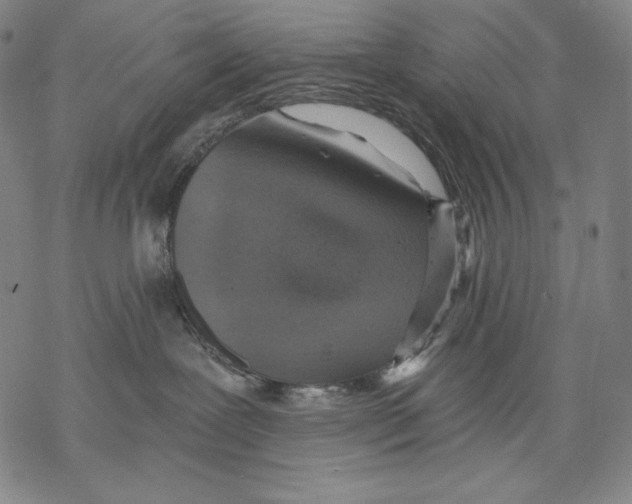 X0000068750239200605191606