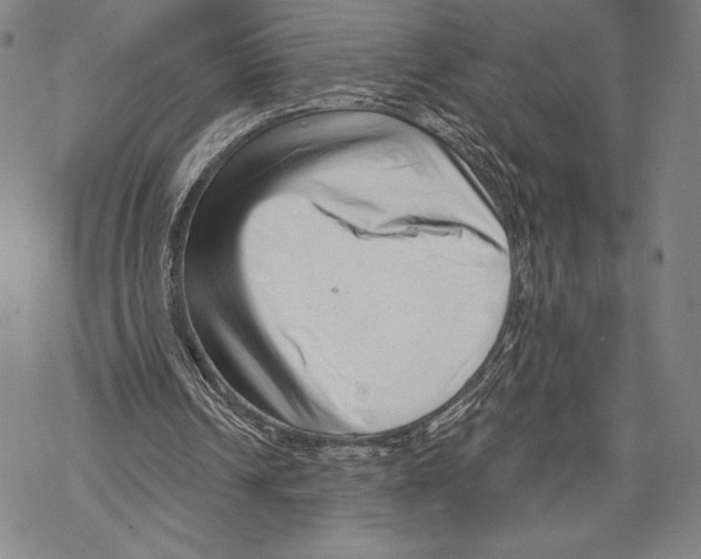 X0000068750242200605191605