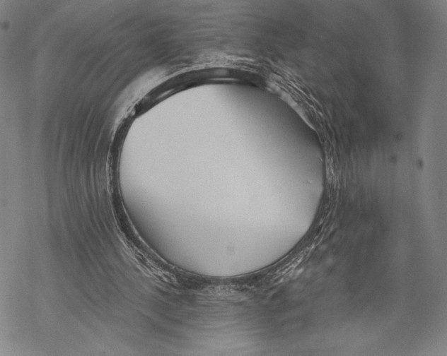 X0000068750244200605191605