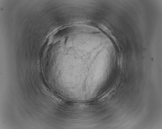 X0000068750249200605191605