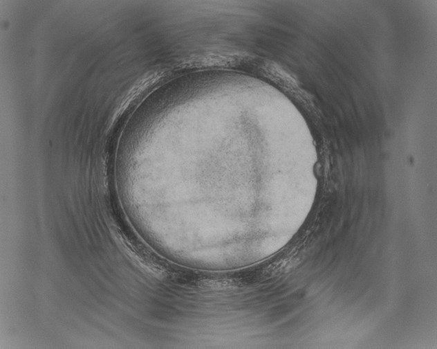 X0000068750250200605191605