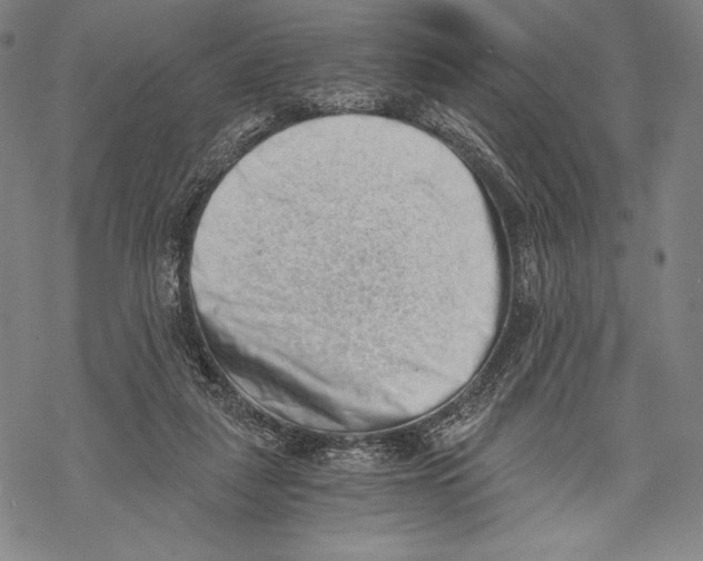 X0000068750259200605191606