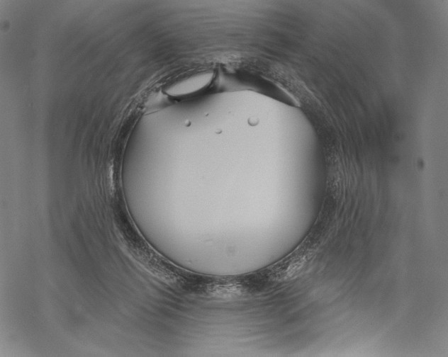 X0000068750262200605191606