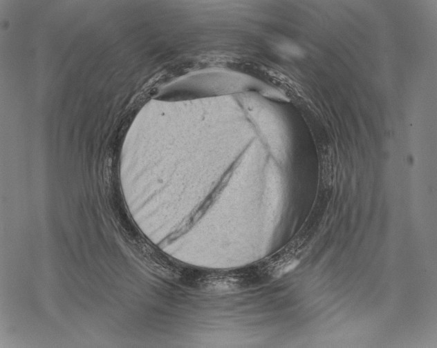 X0000068750263200605191606