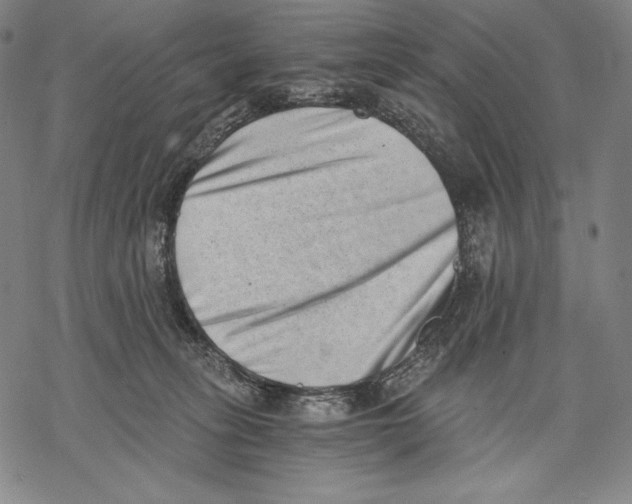 X0000068750275200605191606